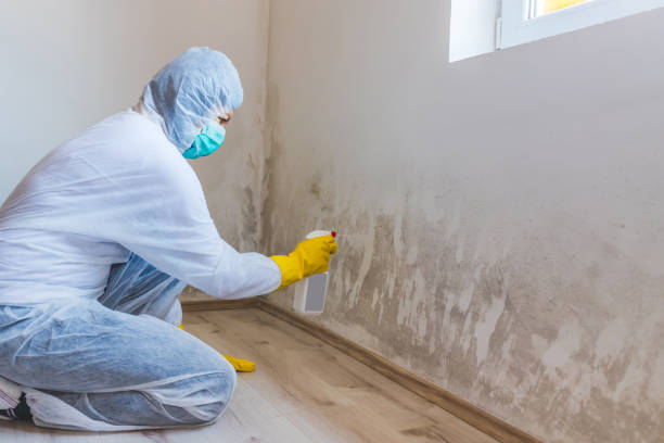 Mold Remediation specialist working in Markleton